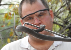 jens and mozambique spitting cobra (1)